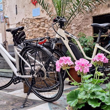 Tourouzelle Maison Du Coquelicot المظهر الخارجي الصورة