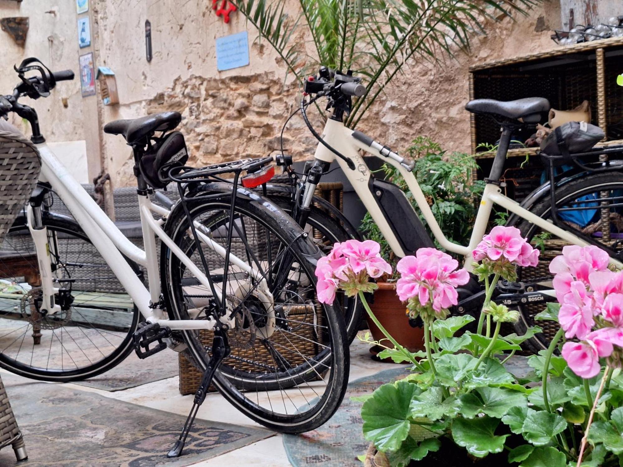 Tourouzelle Maison Du Coquelicot المظهر الخارجي الصورة